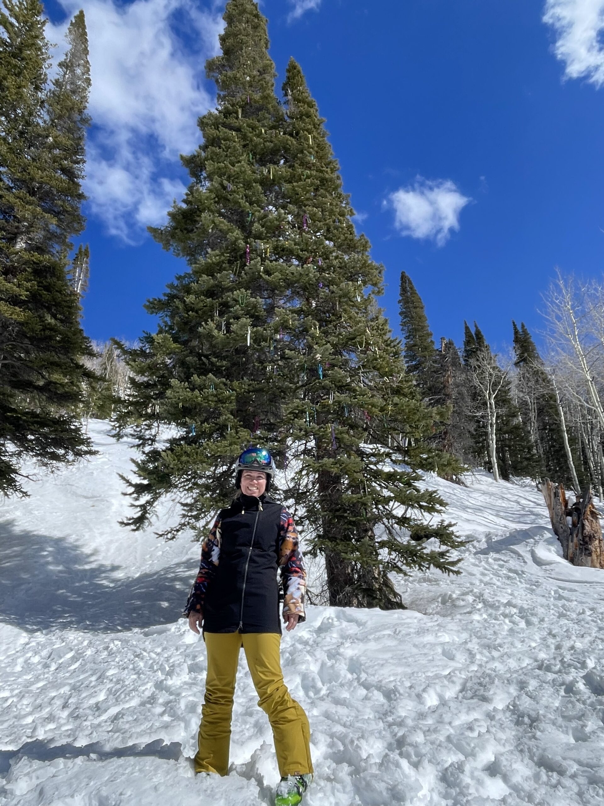 {{brizy_dc_image_alt imageSrc=