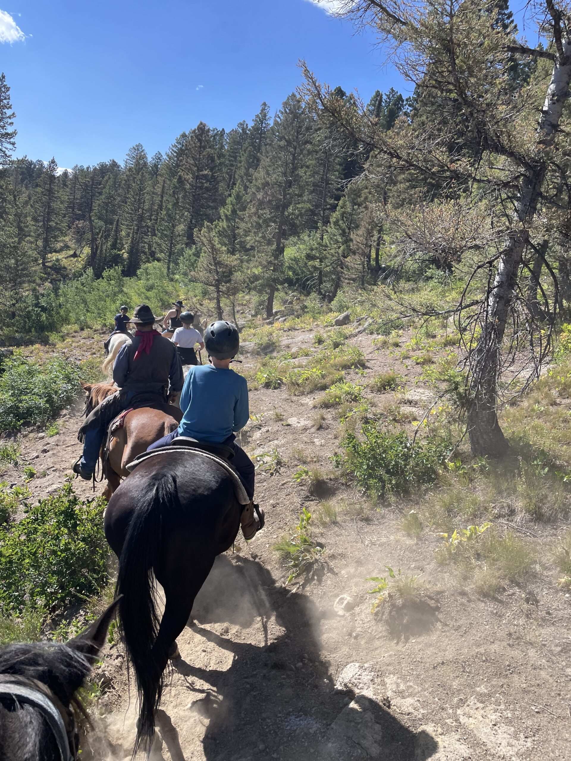 {{brizy_dc_image_alt imageSrc=